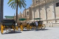 Carriage horses cab waiting with the driver and coach in the center square of the cathedral with the tower in Sevilla, Spain.