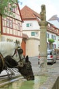 Carriage horses drinking from stone fountain