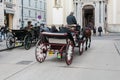 Carriage with horses, driver and tourists in Vienna on a sightseeing tour around the city
