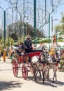Carriage horses at the fair Royalty Free Stock Photo