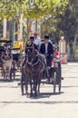 Carriage horses at the fair Royalty Free Stock Photo