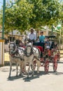 Carriage horses at the fair Royalty Free Stock Photo