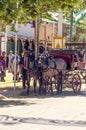 Carriage horses at the fair Royalty Free Stock Photo