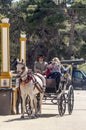 Carriage horses at the fair Royalty Free Stock Photo