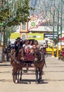 Carriage horses at the fair Royalty Free Stock Photo