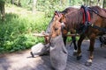 Carriage with horses near Morskie oko in Poland. Tatra Mountains National Park.Horse cart on the road to Lake Morskie Oko Royalty Free Stock Photo
