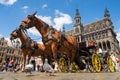 Carriage, horses, pigeons and tourists on the Grand-Place of Brussels. Photography taken in Belgium Royalty Free Stock Photo