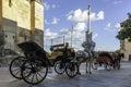 Carriage of horses Royalty Free Stock Photo