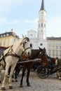 Two horses on Vienna street