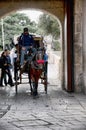 Carriage in Mdina the Silent City of Malta