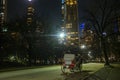 Carriage at night Royalty Free Stock Photo