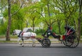 Carriage In Park Royalty Free Stock Photo