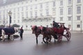 Carriage ridding on the streets of Vienna