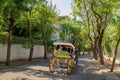 Carriage ride down the street in Buyukada, Princes Islands, Turkey