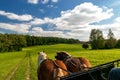 Carriage ride in Masuria Royalty Free Stock Photo