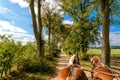 Carriage ride in Masuria Royalty Free Stock Photo