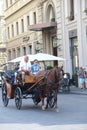 Carriage ride through the streets Royalty Free Stock Photo