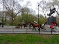 Carriage Rides in Central Park, NYC, NY, USA Royalty Free Stock Photo