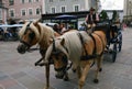 Carriage rides Royalty Free Stock Photo