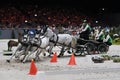 Geneva, Switzerland, December 10, 2023 : The 62st edition of the Geneva International Horse Show (CHI) at Palexpo