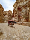 Carriage in the Siq gorge in Jordan