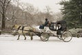 Carriage in the snow