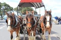 carriage with three horses. Devonport, Auckland, New Zealand. 11 Sep 2011 Royalty Free Stock Photo