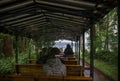 Carriage tour - two beautiful horses with a tram. vintage attraction. Inside horse-drawn carriage in Stanley Park, Vancouver,