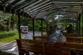 Carriage tour - two beautiful horses with a tram. vintage attraction. Inside horse-drawn carriage in Stanley Park, Vancouver, Royalty Free Stock Photo