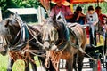 Carriage with tourists is pulled by two horses to the excursion place in the Bavarian Alps