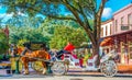 Carriage Tours Savannah