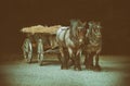 Carriage with two horses Royalty Free Stock Photo