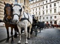 Carriage with two horses on Vienna street