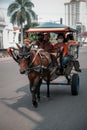carriage of wagon horses in the old city of jakarta kota tua jakarta indonesia