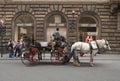 Carriage with white horses in the front of Roberto Cavalli store