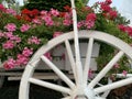 Carriage with wooden wheels as decoration for flowers. Traditional rural retro van, decor. Trolley with bright flowers for garden Royalty Free Stock Photo