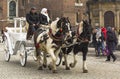 Carriages in krakow