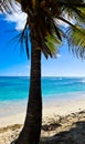Carribean landscape. Beach in the paradise. Travelling on an island Royalty Free Stock Photo