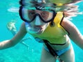 Carribean snorkeler