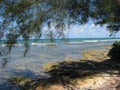 Carribean tropical beach