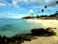 Carribian beach coastline paradise in dominican republic background