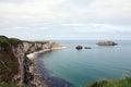 Carrick-a-rede Coast Royalty Free Stock Photo