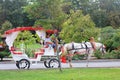 A carriage with horse in the parc in the center of Obzor, Bulgaria