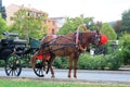 A carriage with horse in the parc in the center of Obzor, Bulgaria