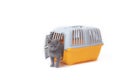 Carrier for cats and small dogs isolated on a white background. safe transportation of animals, article about the transportation Royalty Free Stock Photo