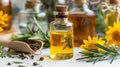 carrier oils extract and plant in white background, natural skin care ingridients Royalty Free Stock Photo