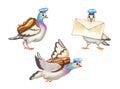 Carrier pigeon with letter