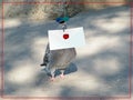 Carrier pigeon with letter