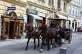 Carrigae with horses in the streat Karlovy Vary Royalty Free Stock Photo