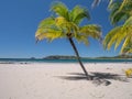 Carrillo Beach in the near of Samara Royalty Free Stock Photo